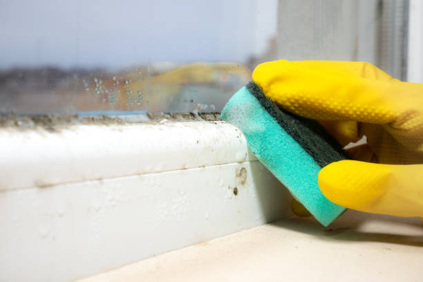 Best Mold Testing and Inspection Services in Mission Hills, KS